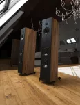 Acoustic Energy Corinium kolumny głośnikowe, podłogowe - 16