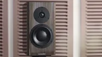 Dynaudio Special Forty - 7