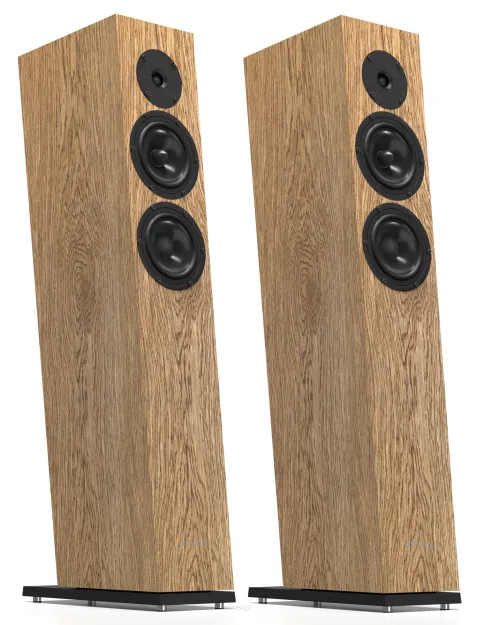 Pylon Audio Diamond 25 MkII kolumny głośnikowe, podłogowe